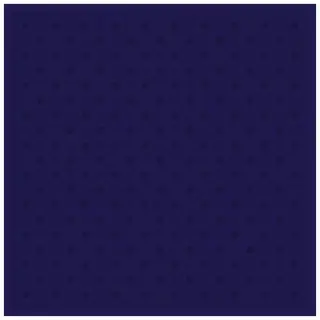 La Diva Paola Quadrato Paola 01 Mirtillo L 20x20