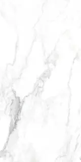 CANOVA ARABESCATO LAP RET 60x120  8,5 мм