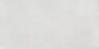 LUDO BIANCO RET 60x120  7 мм