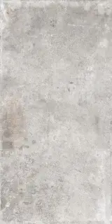 WINDSOR LIGHT GREY RET 60x120  8,5 мм