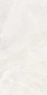 ANGERS AV WHITE RET60x120