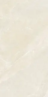 ANGERS AV IVORY RET 60x120