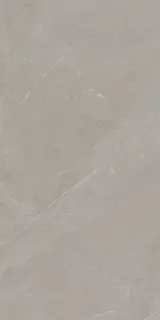 ANGERS AV TAUPE RET 60x120