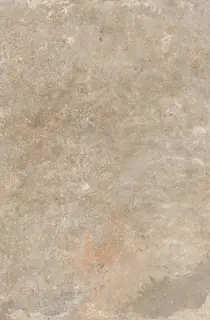 WINDSOR BEIGE RET 40x60  8,5 мм