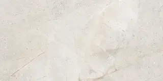 CRUST LIGHT GREY RET 60x120 8,5мм