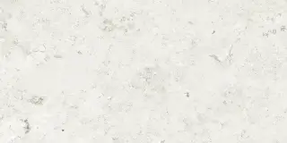 BLENDSTONE WHITE 60X120