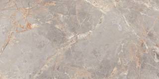 Penlico Abalone 60х120