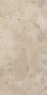 BLOOMSTONE SHELL 60X120 RT