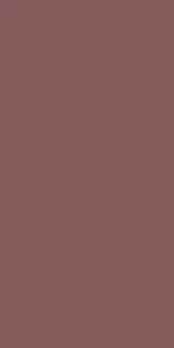 PASTEL X BURGUNDY RET 60x120  7 мм