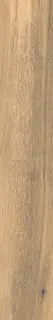 TIMELESS HONEY RET 20x120 8,5 мм