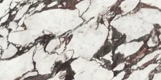 MEDICEA MARBLE POL RECT N 60X120