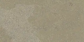 Fireclay Beige Stamp Natural 50x100