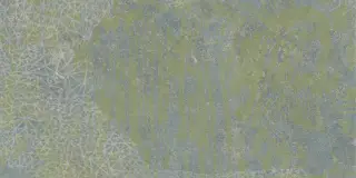 Fireclay Vestige Stamp Natural 50x100