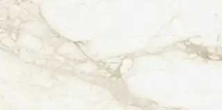 Микеланджело Ворм 60x120