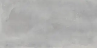 Астро Сильвер 60x120