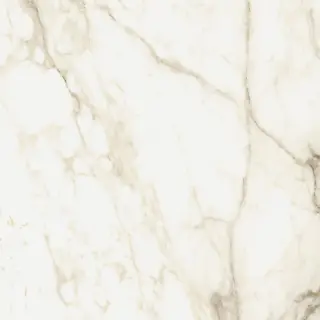 Микеланджело Ворм 60x60
