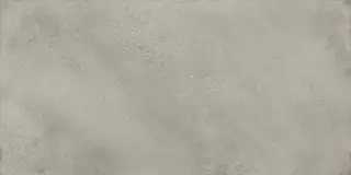 Монца Грэй 60x120
