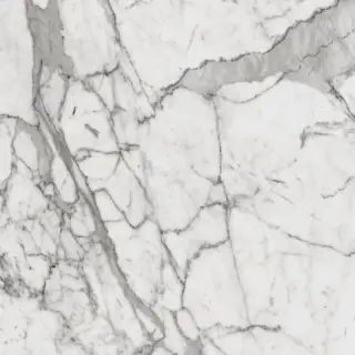 Шарм Эво Статуарио 60x60