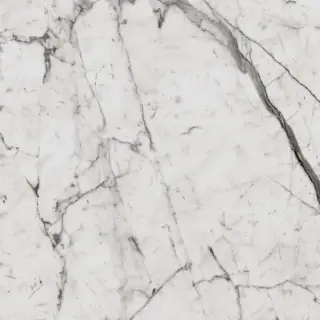 Шарм Эво Статуарио Люкс 60x60