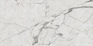 Шарм Эво Статуарио 60x120