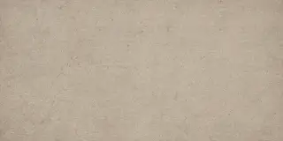 Эверстоун Дезерт 60x120
