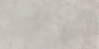 Миллениум Сильвер 60x120