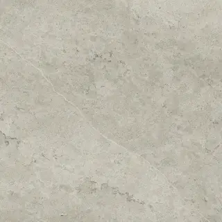 Метрополис Абсолют Сильвер 80x80