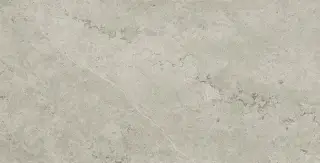 Метрополис Абсолют Сильвер 60x120