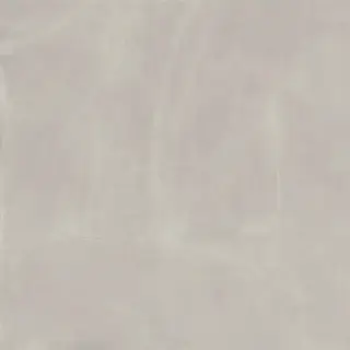 Континуум Сильвер 120x120