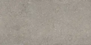 Дискавер Грэй 60x120