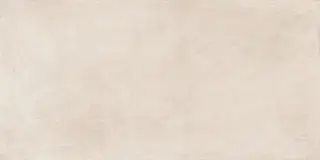 Этернум Сноу 60x120