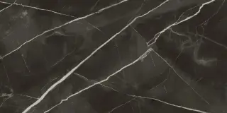 Стеллариус Абс.Блэк 60x120