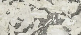 Стеллариус Довер Лайт Люкс 120x278