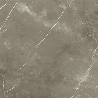 Стеллариус Тус.Грэй 120x120