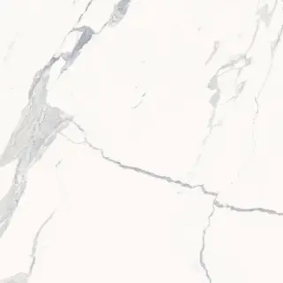Стеллариус Стат.Уайт 120x120