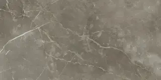 Стеллариус Тус.Грэй Шлиф 60x120