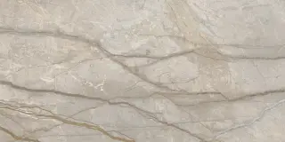 Стеллариус Элег.Сильвер Шлиф 60x120