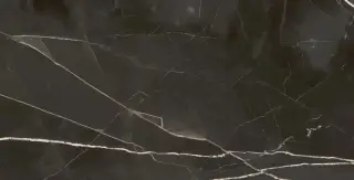 Стеллариус Абс.Блэк Люкс 80x160
