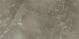 Стеллариус Тус.Грэй 60x120