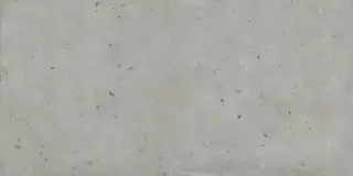 Авангард Сильвер 60x120