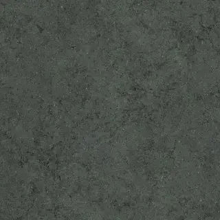 Форум Стоун Петрол 120x120