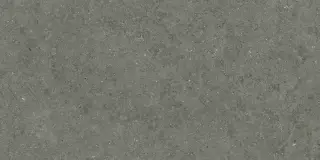 Форум Стоун Айрон 60x120