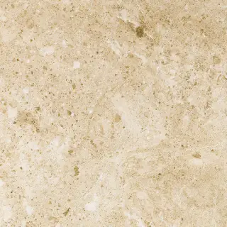Cappuccino 80x80