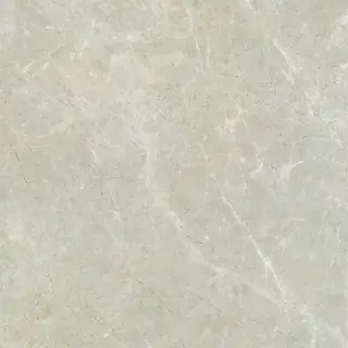 Ivory Beige 80x80