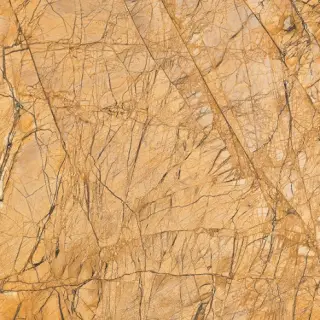 Giallo Castle 60x60