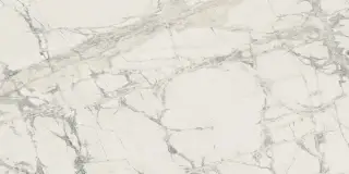 Prexious Rex Mountain Treasure Glossy 60x120