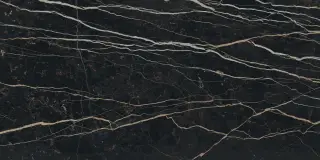 Prexious Rex Thunder Night Glossy 60x120