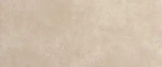 Nobu Beige Matt 50x120