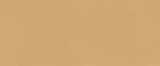 True Color Caramel Matt 50x120