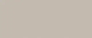 True Color Fossil Matt 50x120